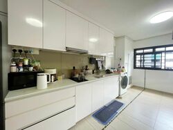 Blk 301 Clementi Haven (Clementi), HDB 4 Rooms #481515461